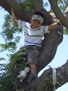 cimg3802 Boo in a tree
